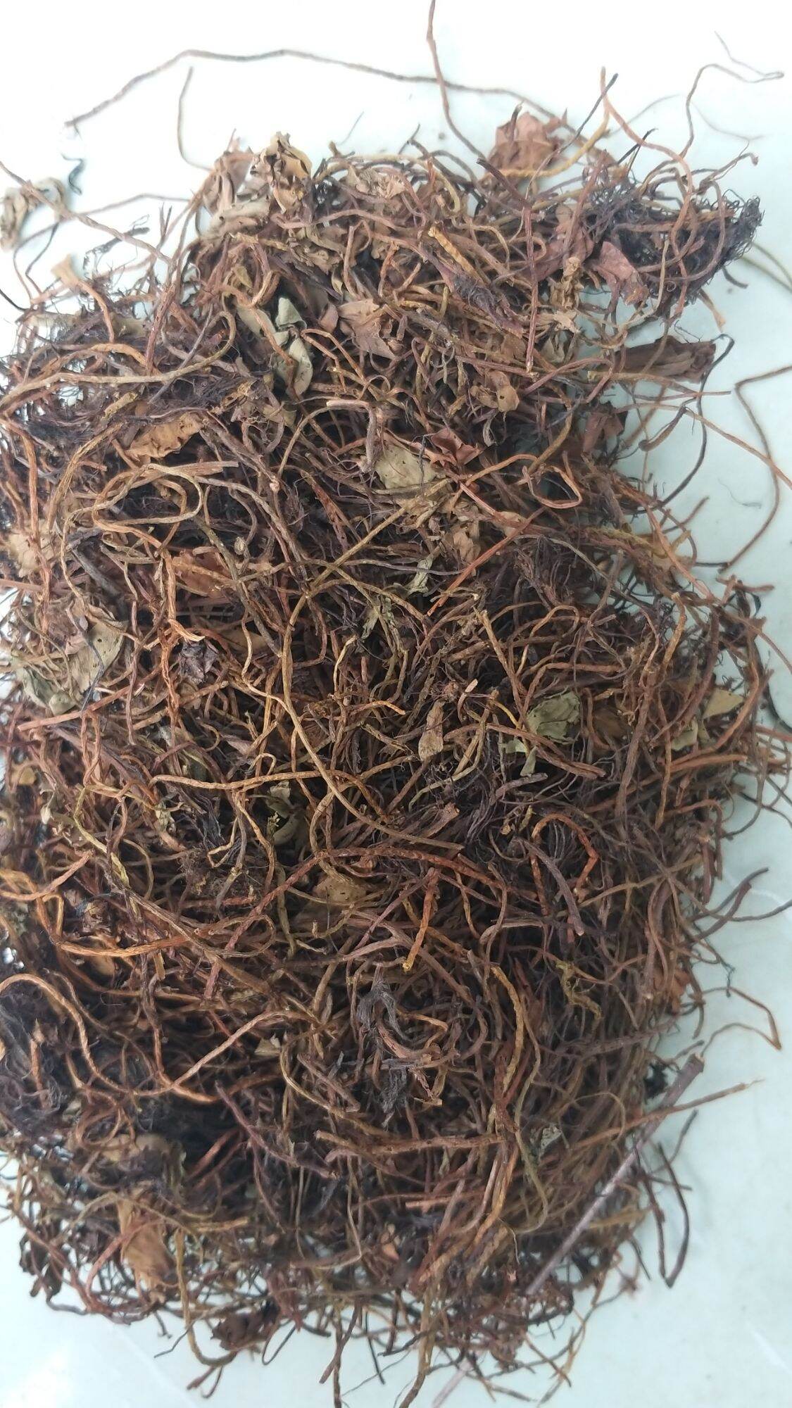 cây rau bợ phơi khô 1kg