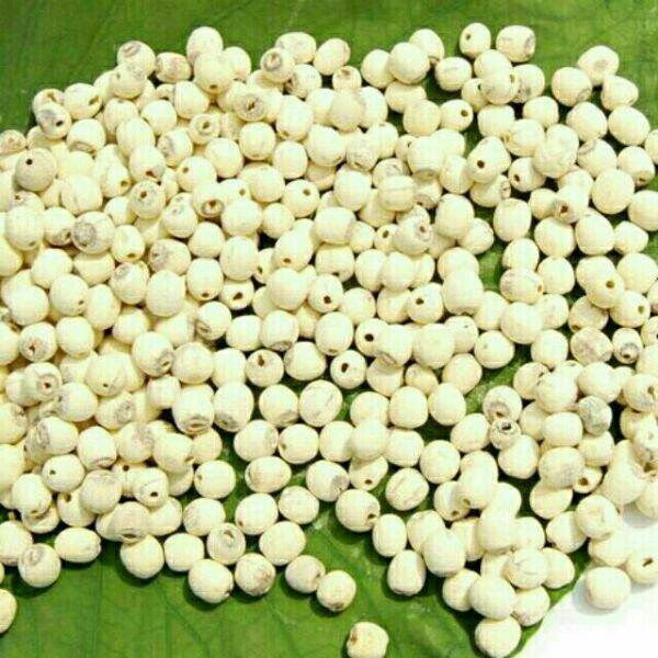 1kg hạt sen khô