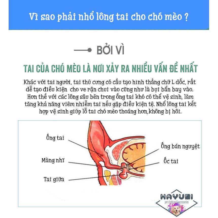 BỘT NHỔ LÔNG TAI CHÓ MÈO PETIS