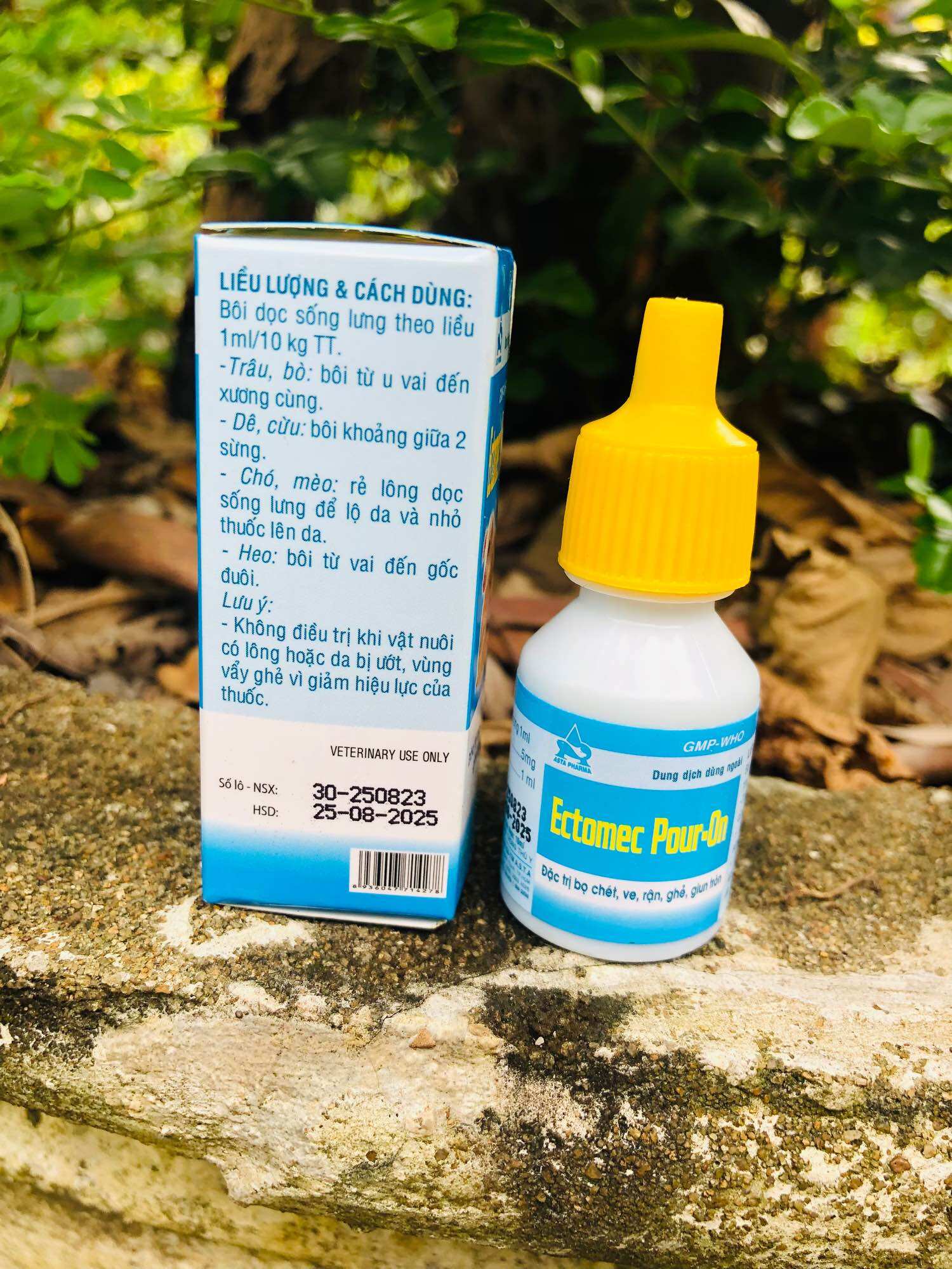 Nhỏ ve cho chó mèo Ectomec 10ml