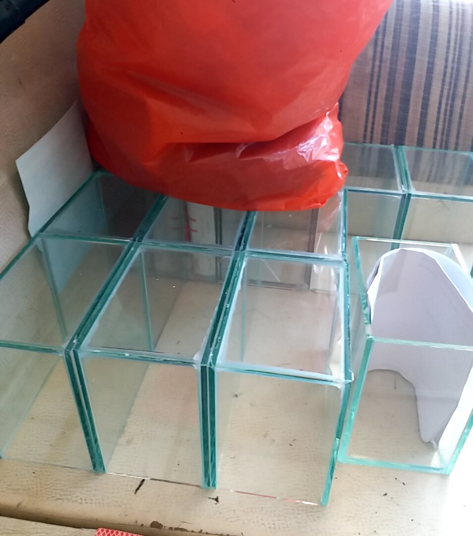 Hồ Cá Guppy D20 . R15.C20