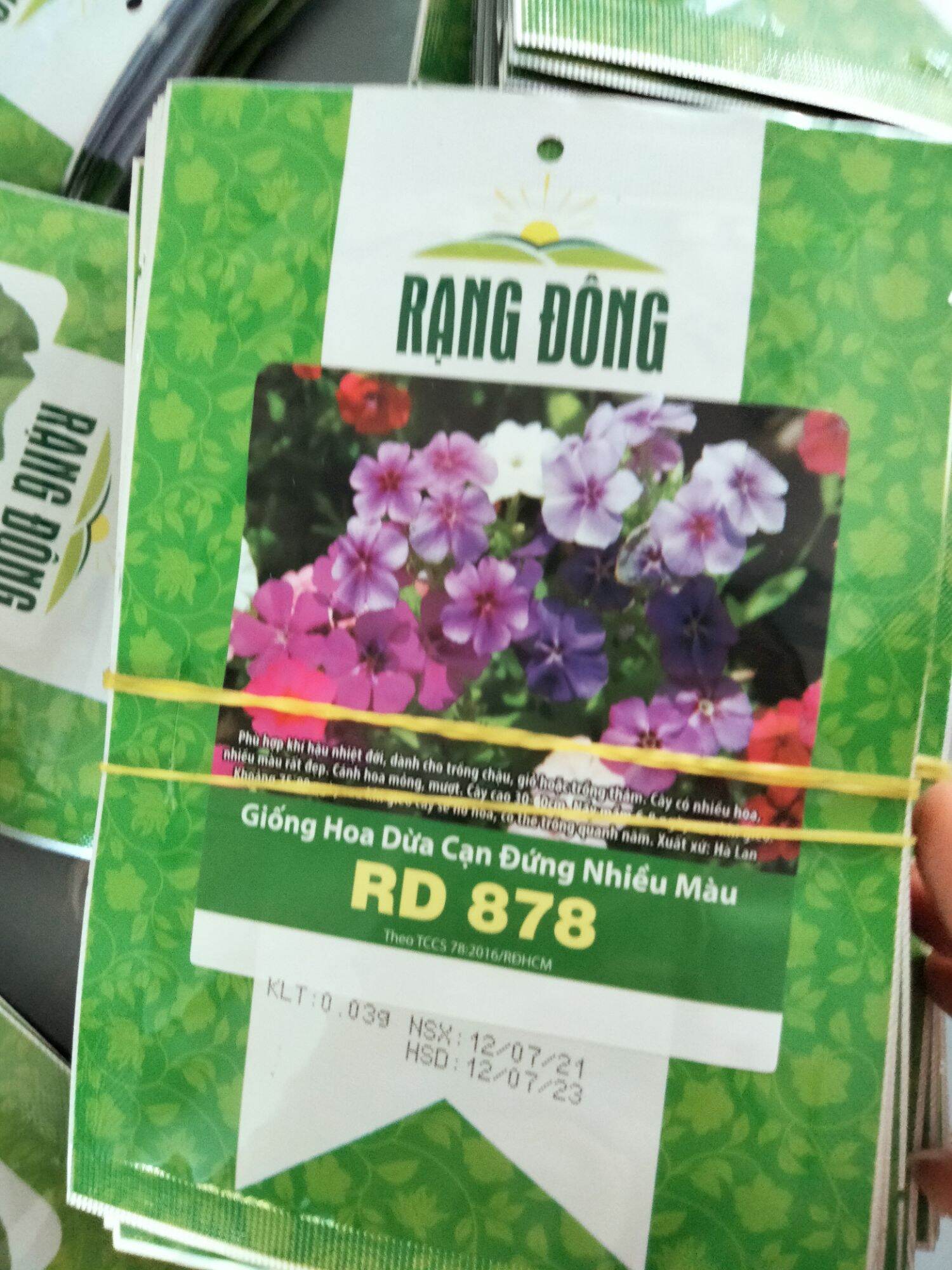 Hạt giống hoa dừa cạn