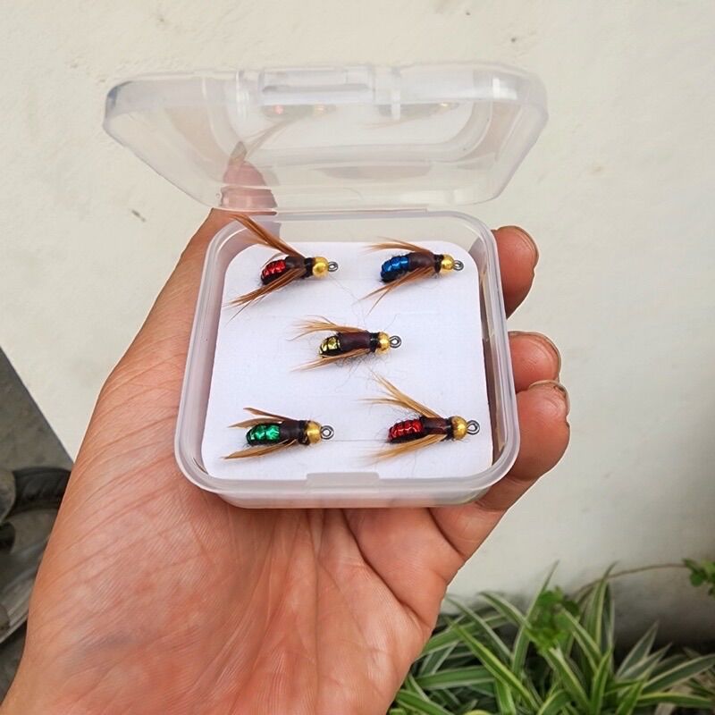 Hộp mồi ong 5 con