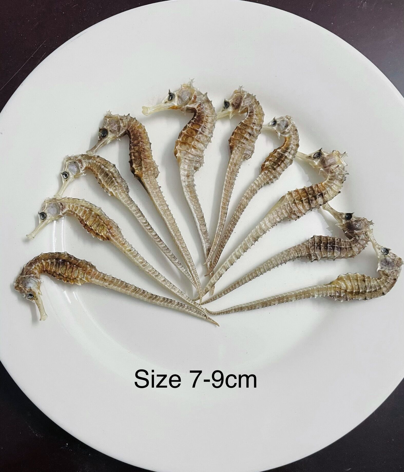 5 con Cá Ngựa Khô 7cm -9cm