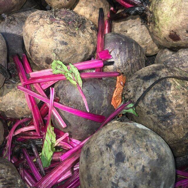 Củ Dền Tươi 1kg