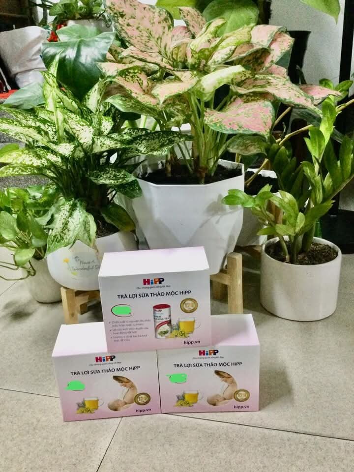 Trà lợi sữa thảo mộc HIPP