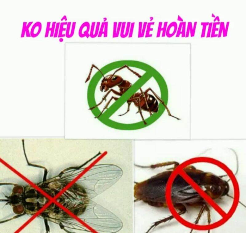 COMBO 3 LOẠI THUỐC DIỆT KIẾN, GIÁN, RUỒI