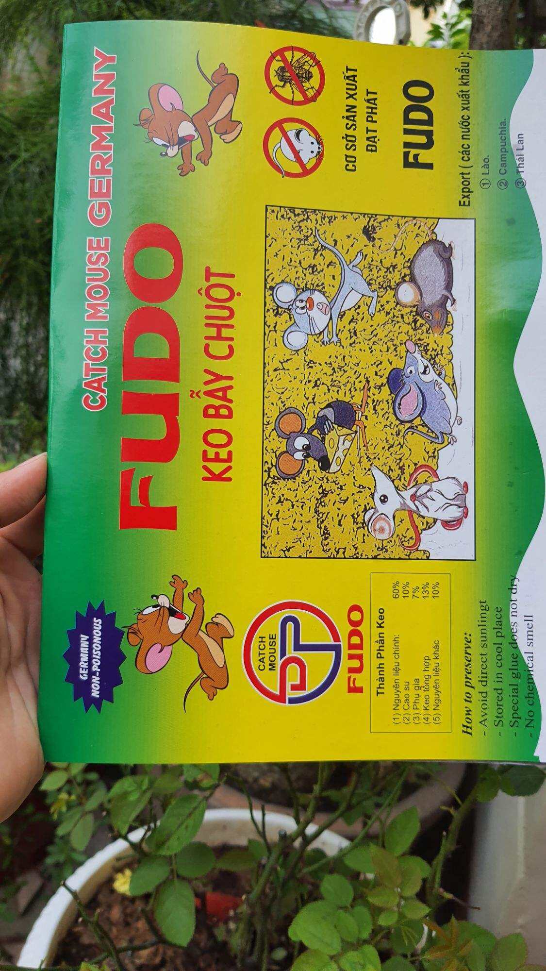 miếng keo dính chuột siêu bẫy chuột hiệu quả