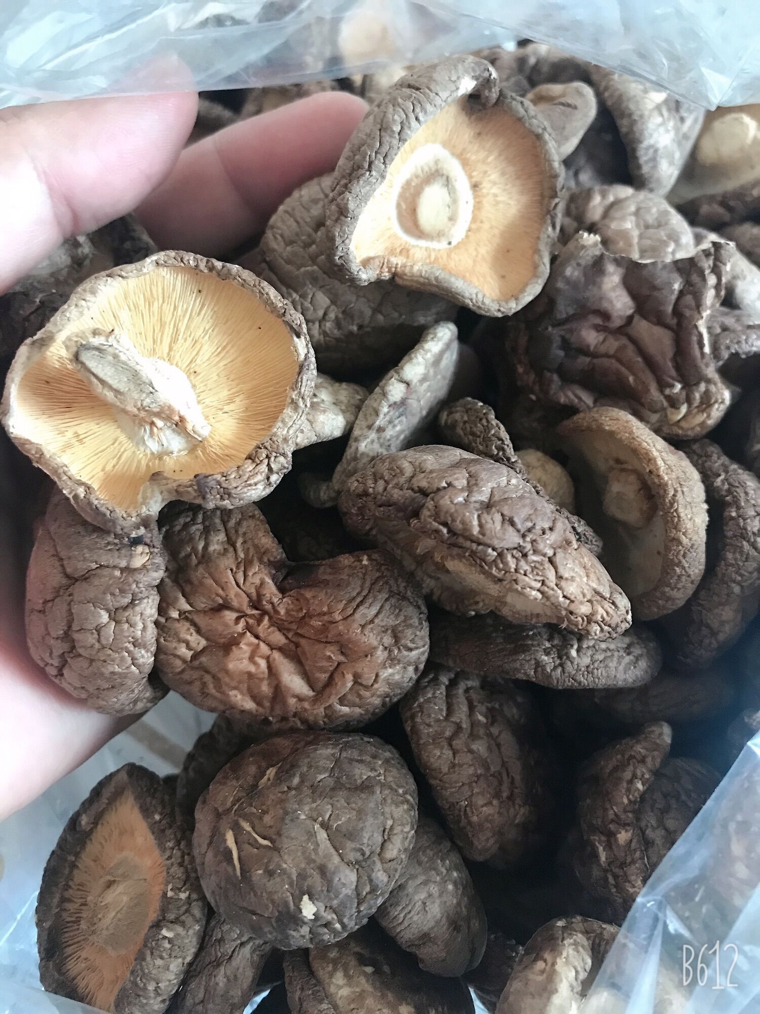 [500gr] Nấm Đông Cô 🍄