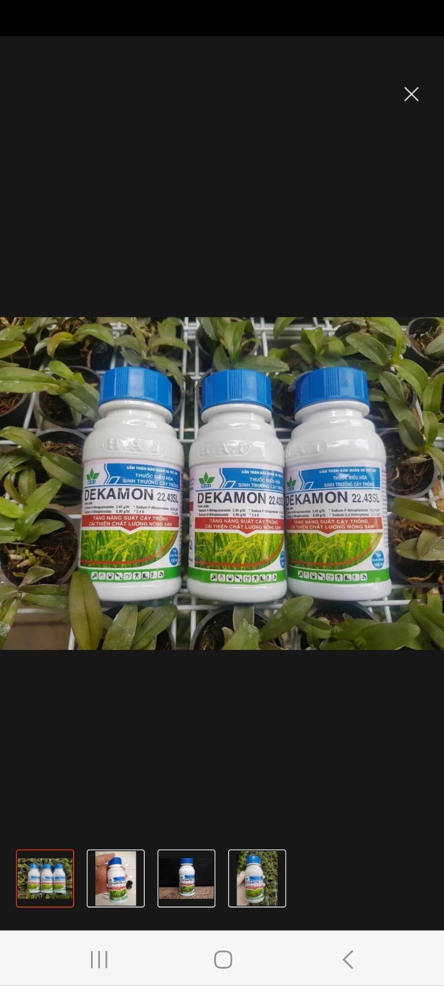 Phân bón lá DEKAMON 100ML