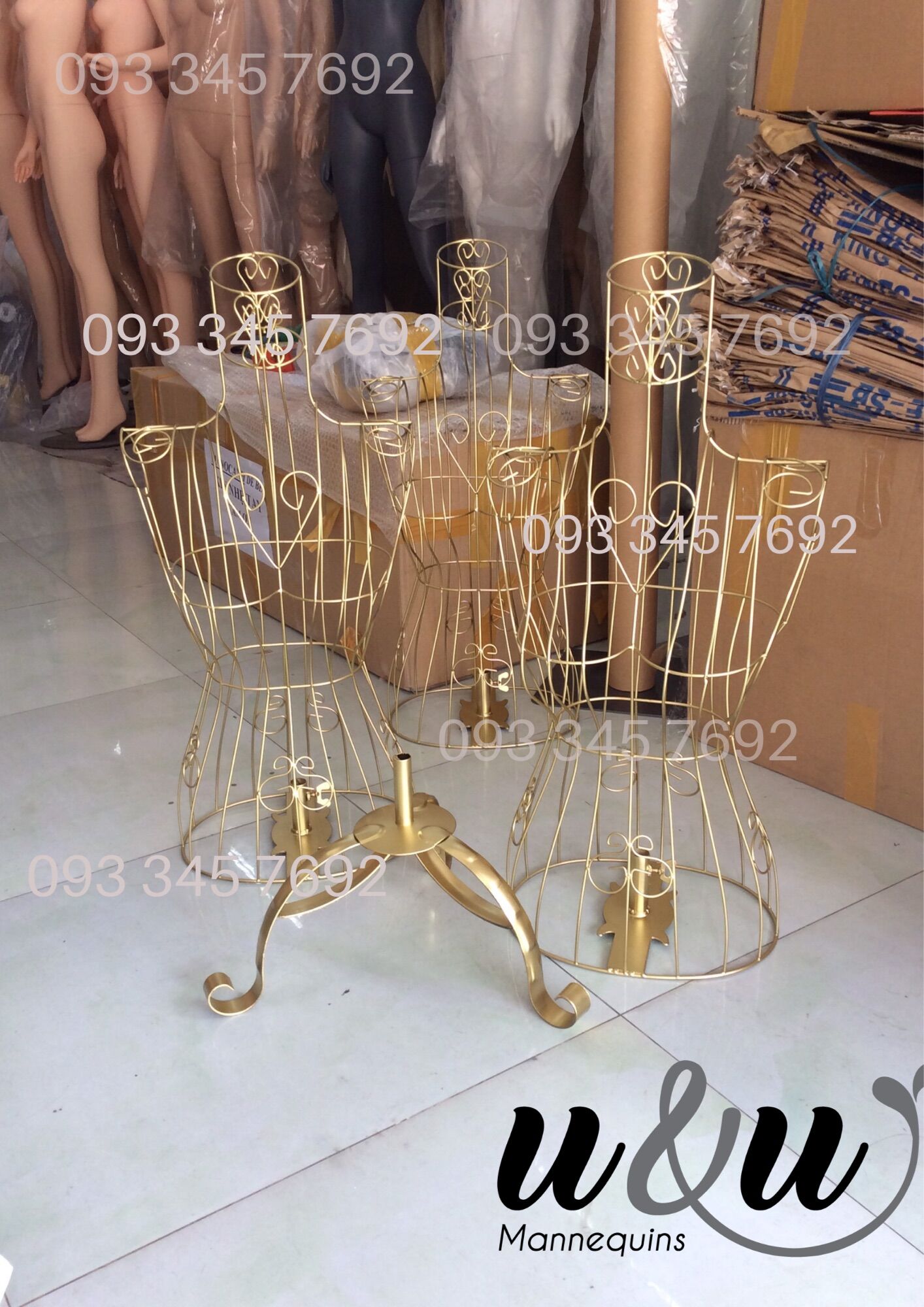 Manocanh sắt nữ vàng đồng (hình thật)