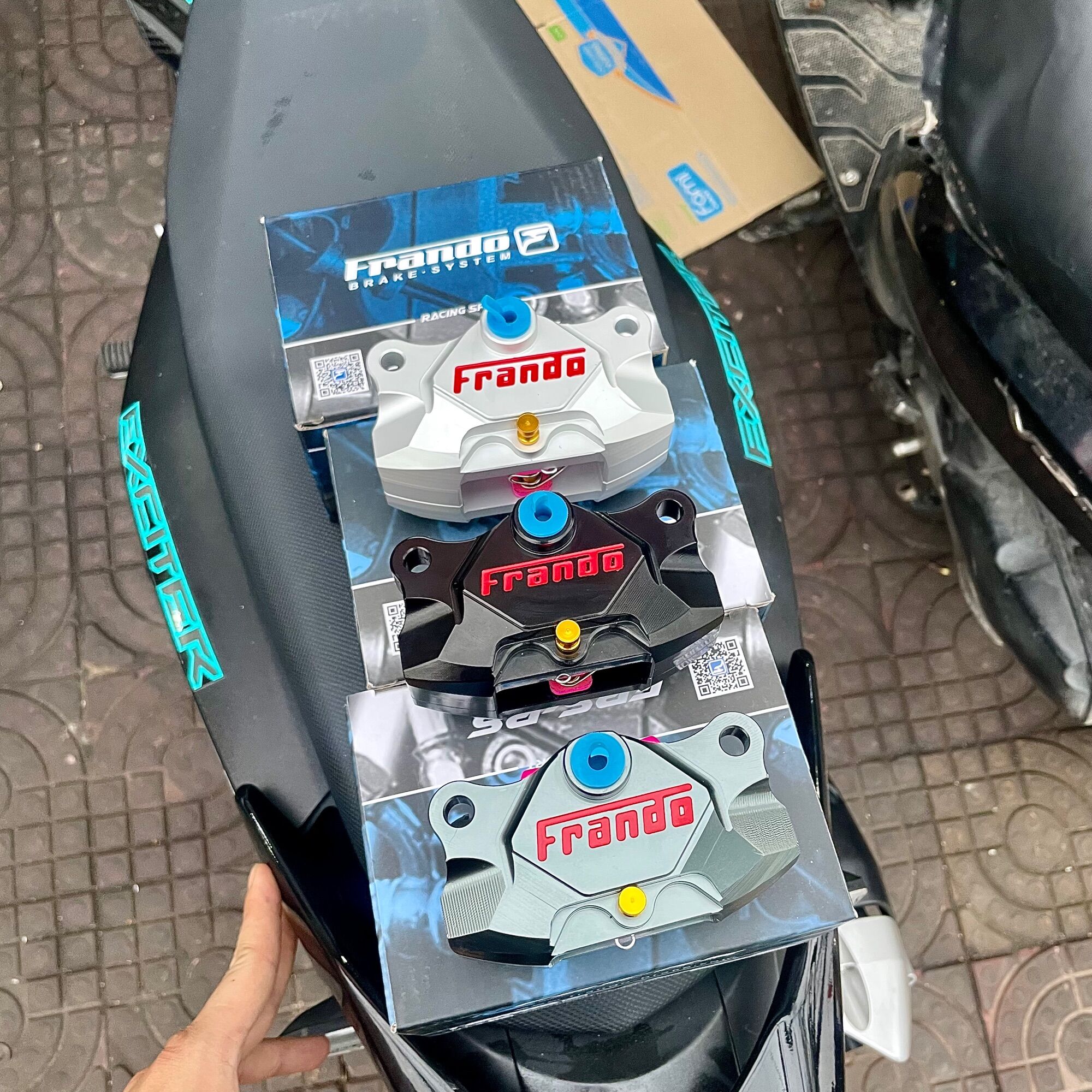 Heo Phanh Frando 2 Pis Đối Sứng