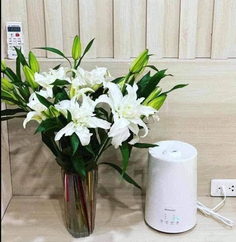 Máy tạo ẩm Medisana AH661