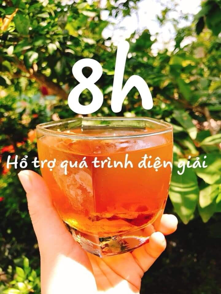 TRÀ THẢI ĐỘC - THẢI MỠ ( Cô Gái Núi)