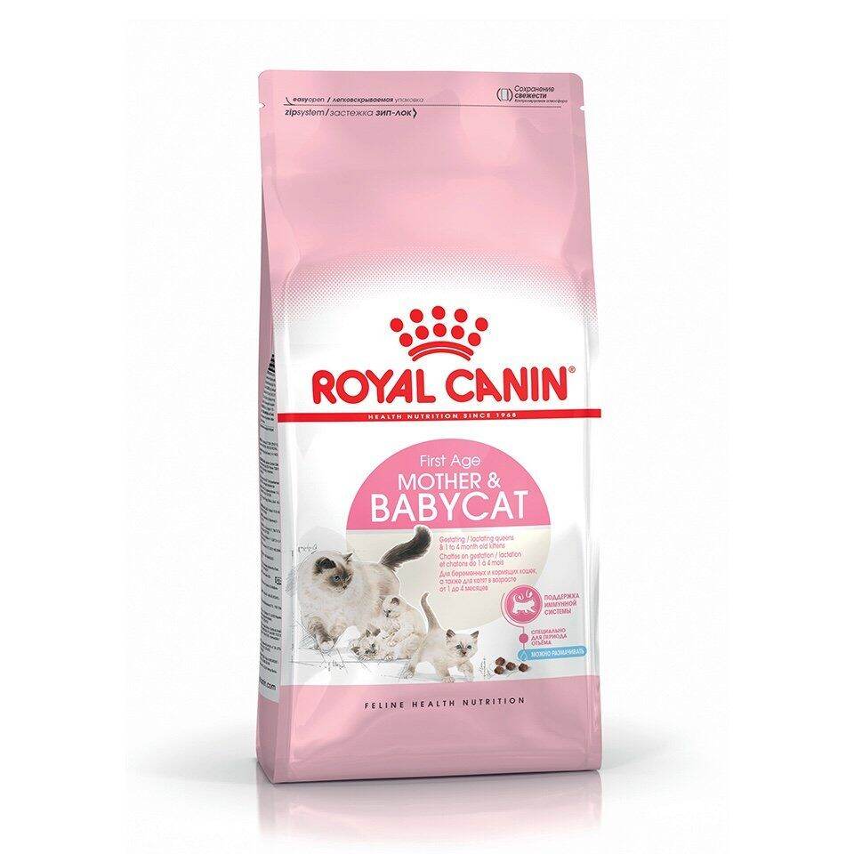 .Hạt Royal Canin Thức ăn cho mèo con Kitten