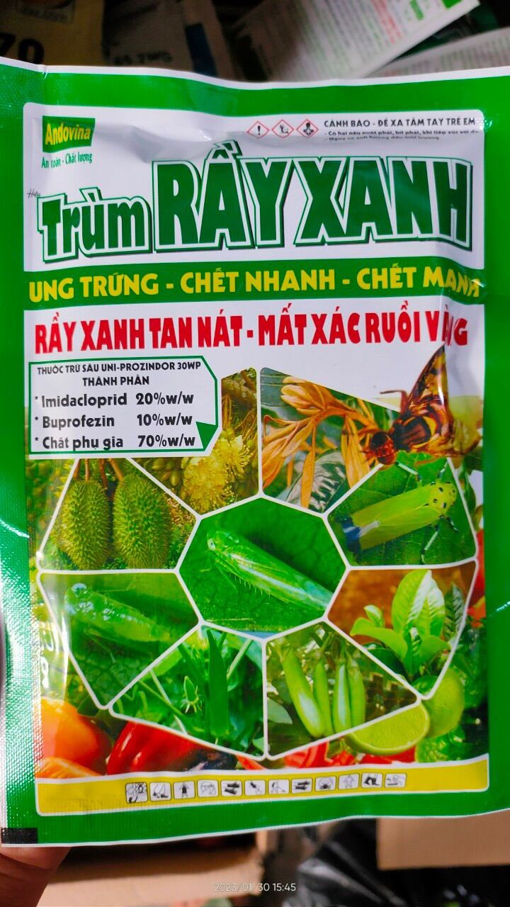 Trùm Rầy Xanh thuốc trừ rầy xanh bọ trĩ rệp sáp ung trứng chết nhanh chết mạnh Rầy xanh tan nát mất xác ruồi vàng