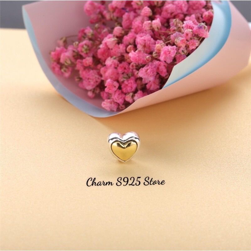 CHARM PAN ALE TIM VÀNG PHỐI TRẮNG BẠC S925 CAO CẤP