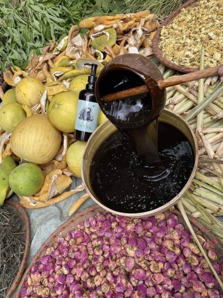 Cặp Dầu Gội Hoa Lá - Cỏ Cây