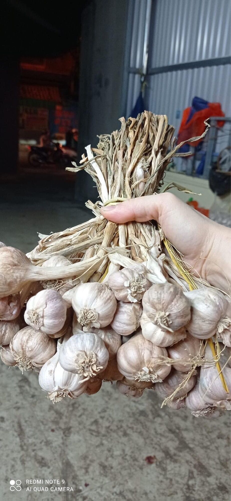 Tỏi ta 1kg ( tỏi lý sơn)