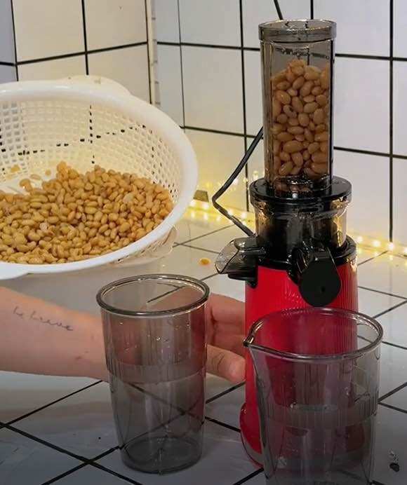 Máy Ép Chậm MiNi 3S Lazychef