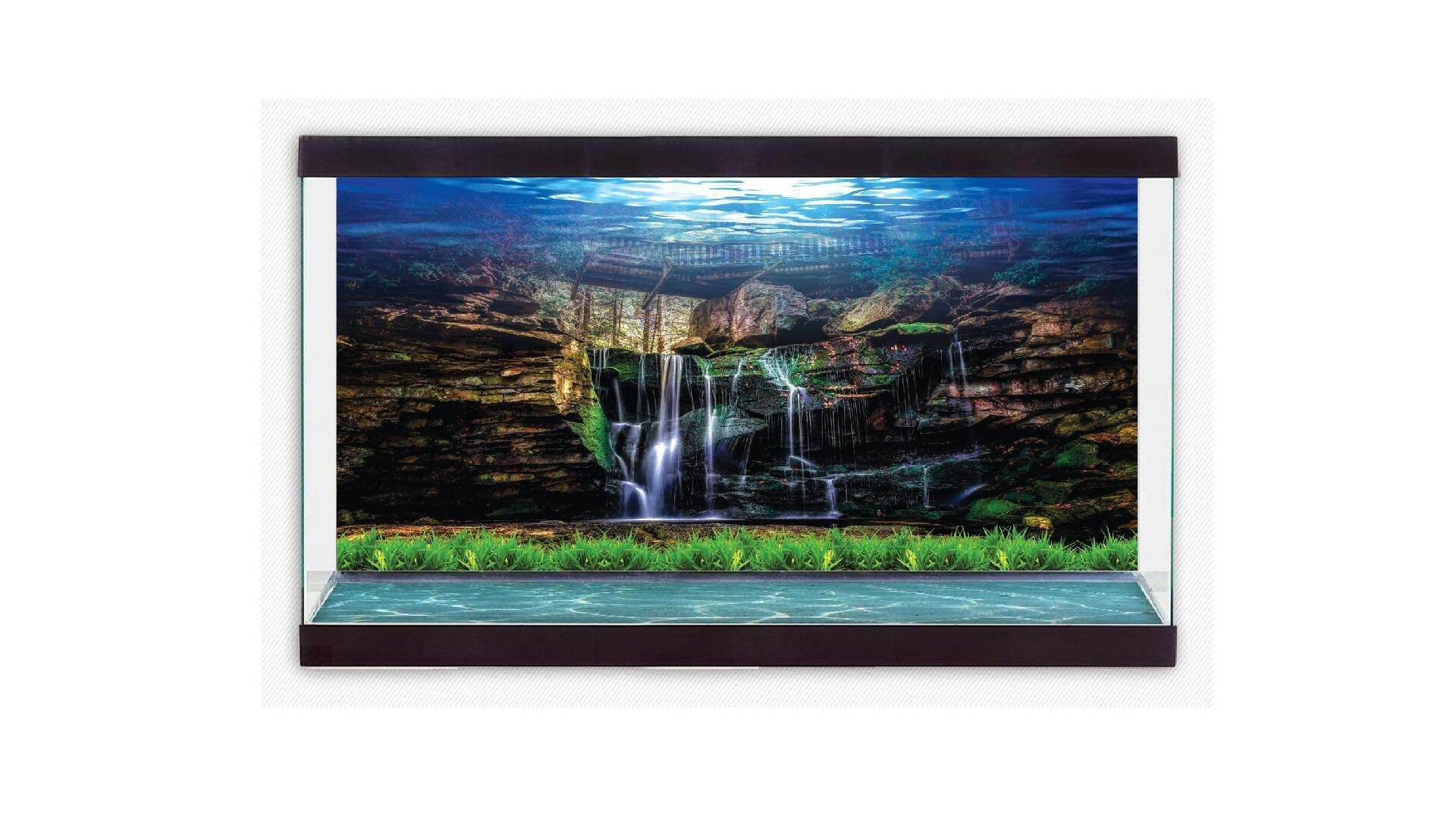 tranh 3d dán hồ cá  DECAL VIP- IN THEO KÍCH THƯỚC HỒ ( tranh lưng )