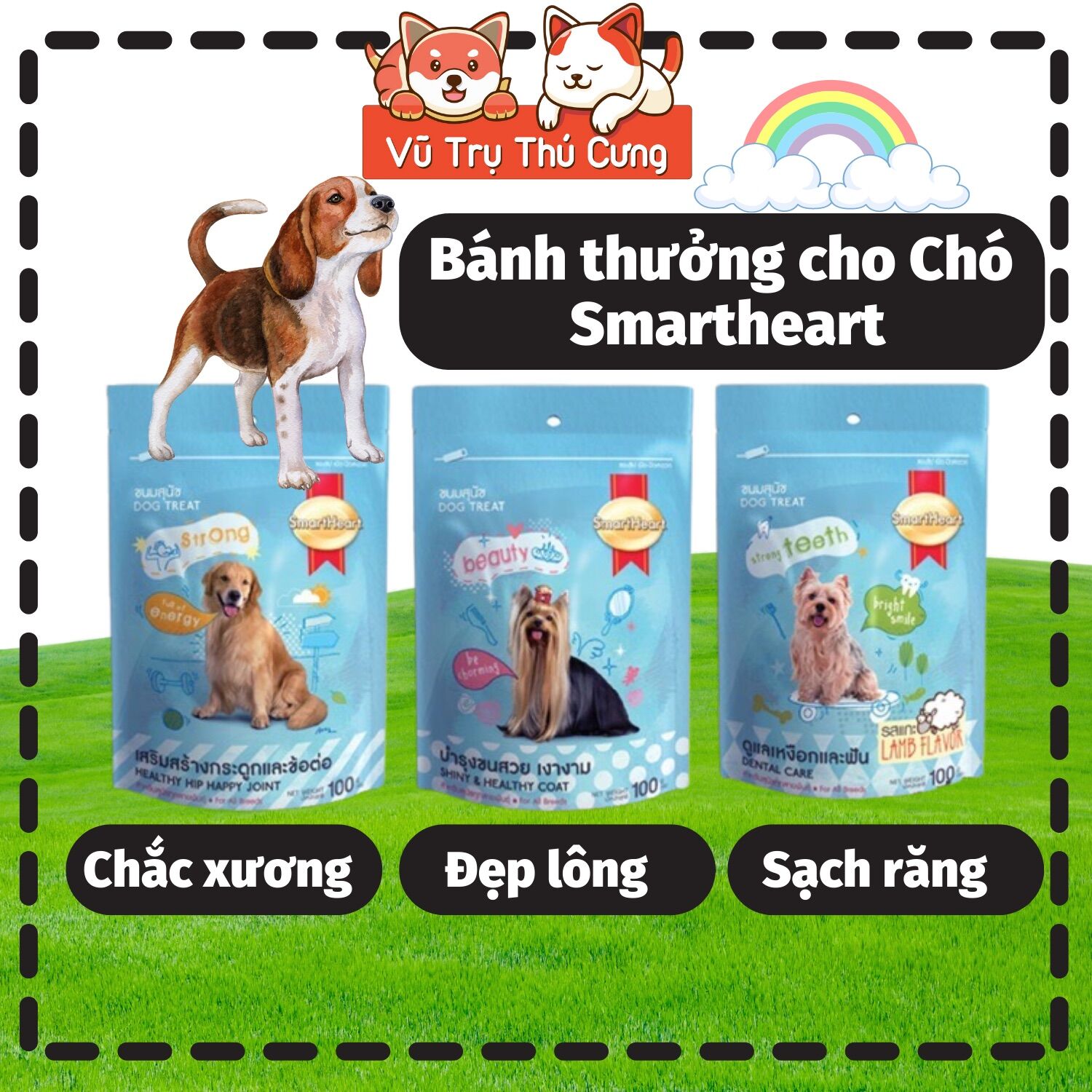 Bánh thưởng,Snack cho Chó Smartheart 100g