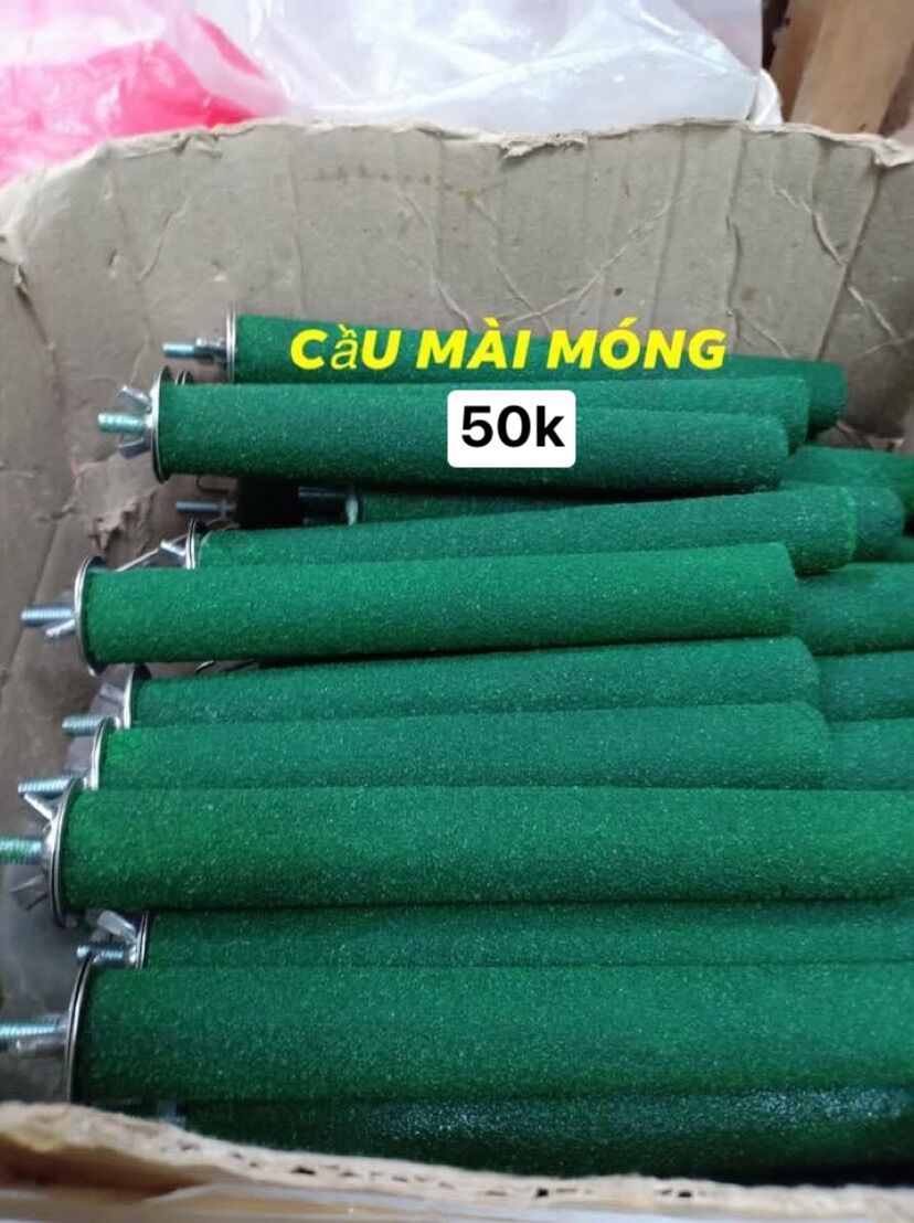 Cầu mài móng giảm sắc nhọn móng cho chim vẹt .