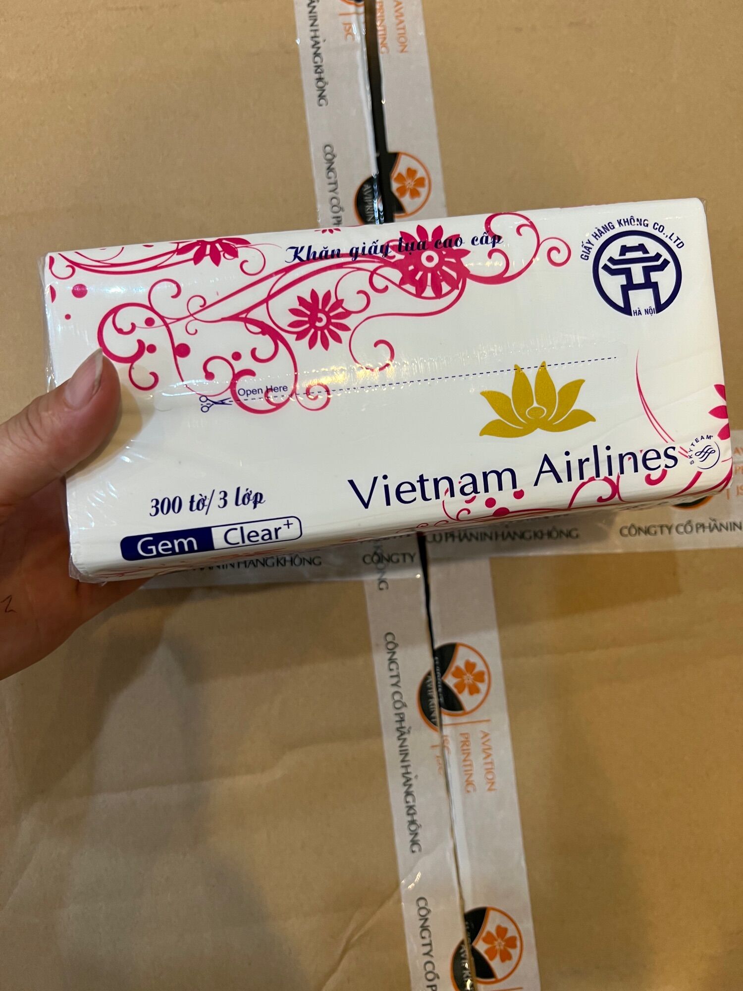 (Hàng chuẩn)Combo 10 gói giấy ăn rút vietnameline