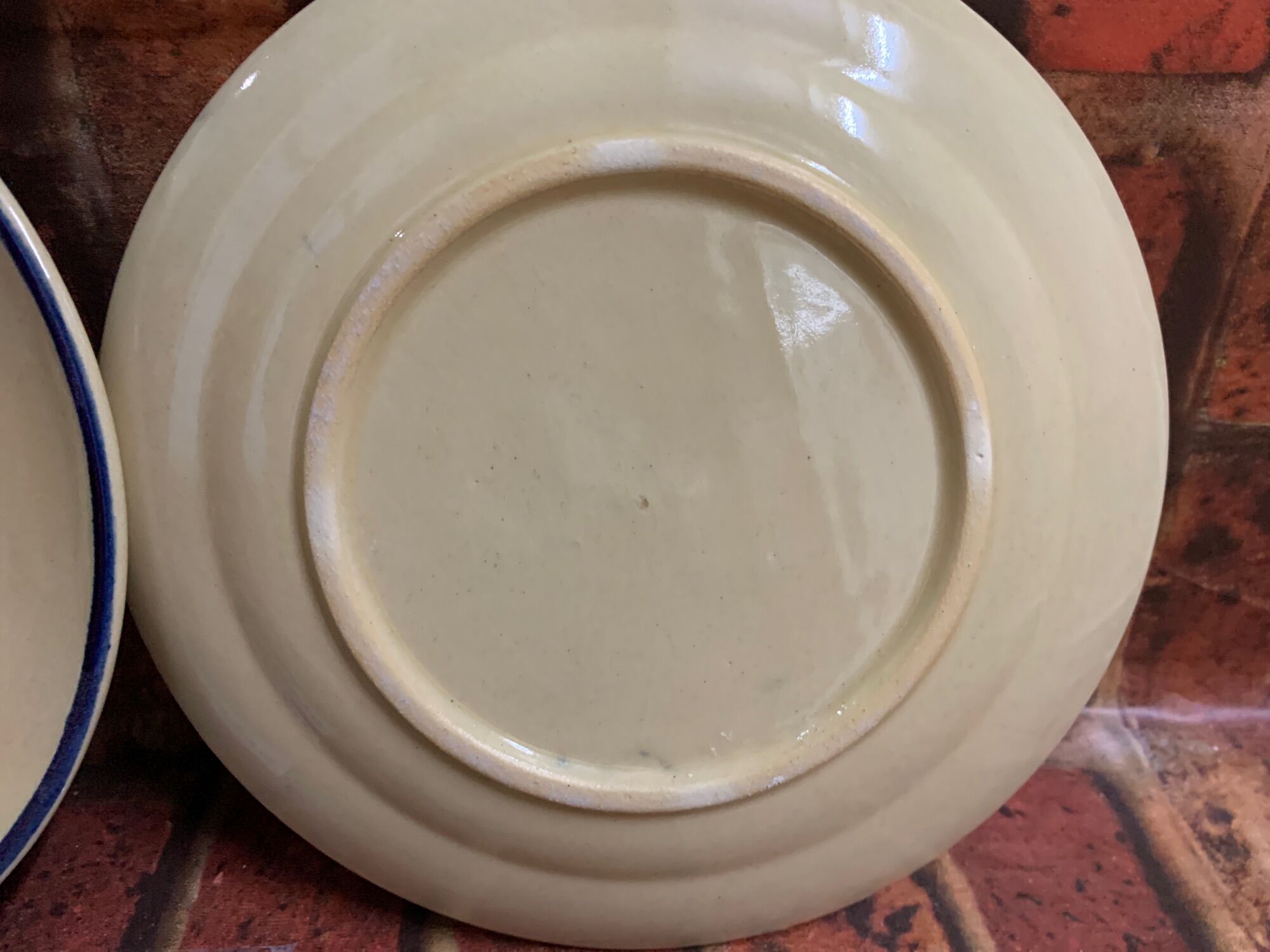 Compo 2 dĩa con gà cạn hàng đẹp 20 cm