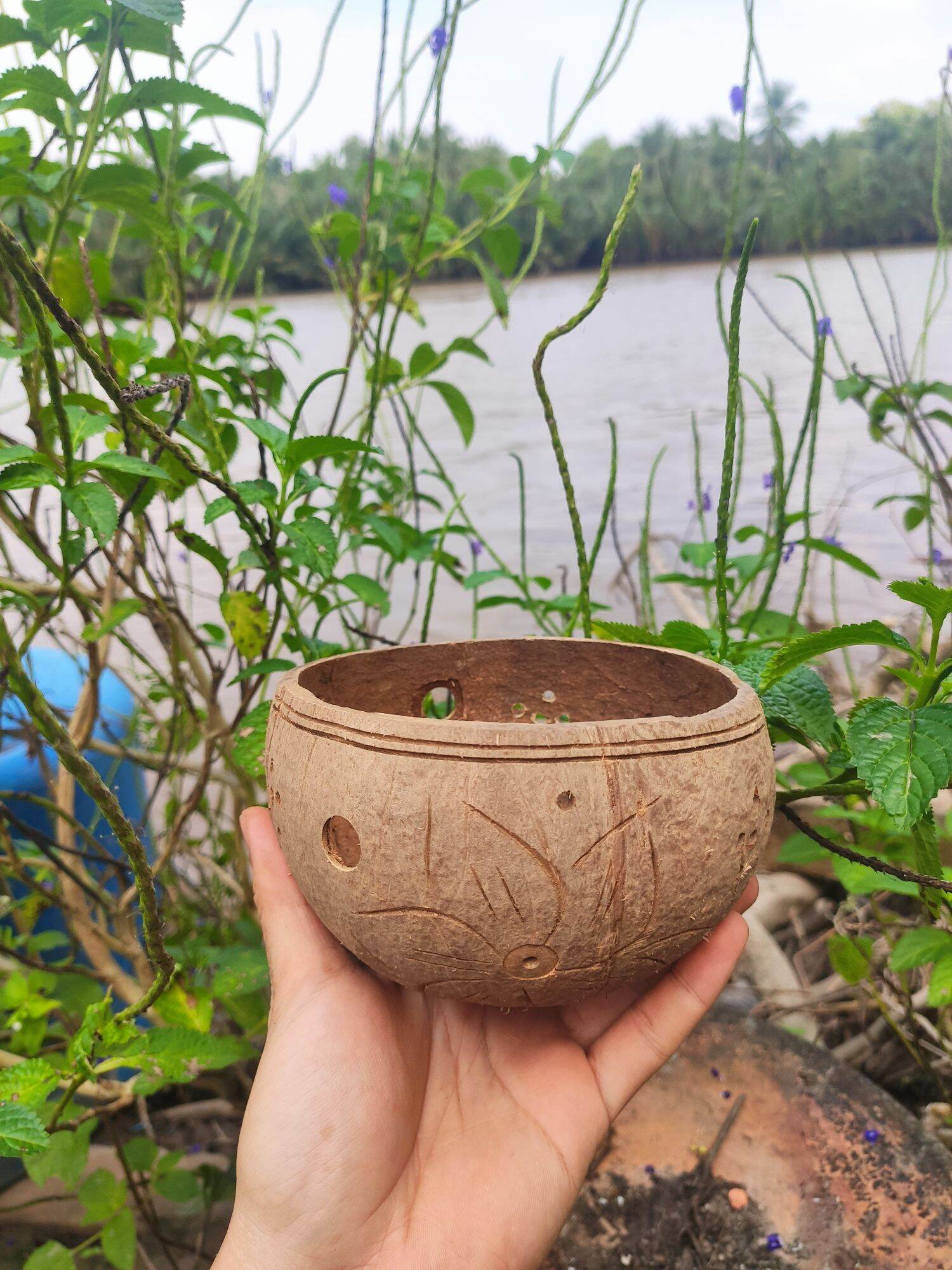 Chậu gáo dừa trồng cây vật tư ngành lan