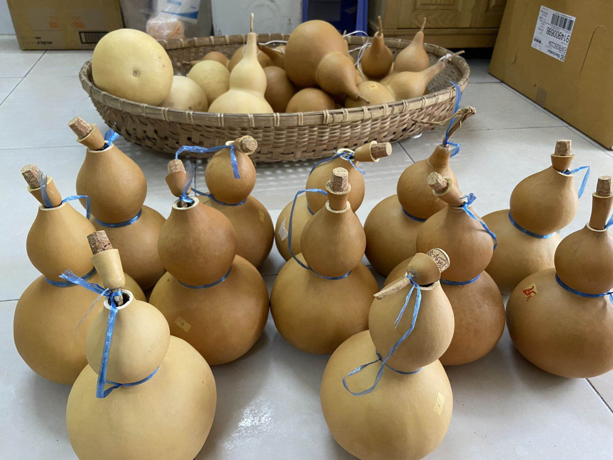 BẦU HỒ LÔ ĐỰNG NƯỚC SIZE LỚN