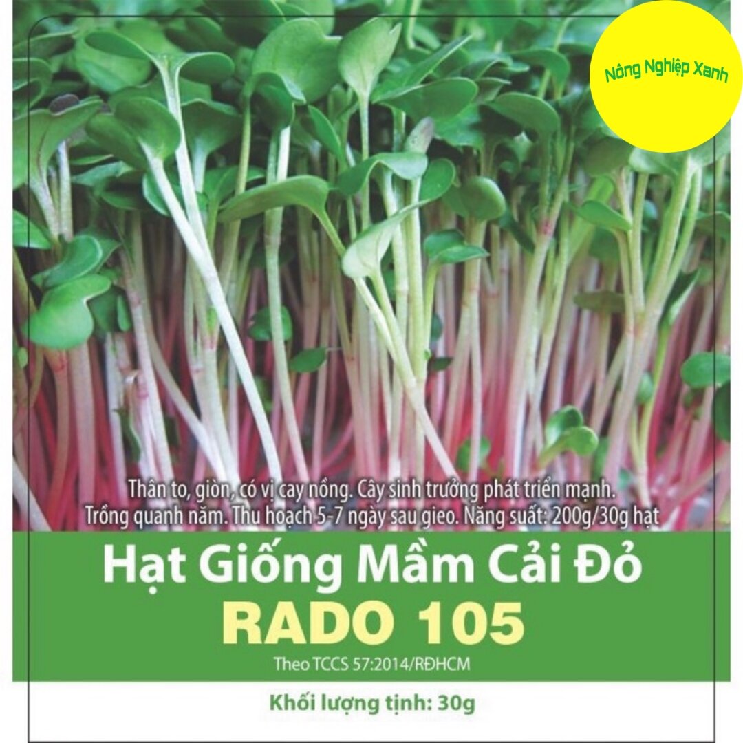 Hạt giống rau mầm củ cải đỏ rado 105 giòn ngọt, nhanh thu hoạch