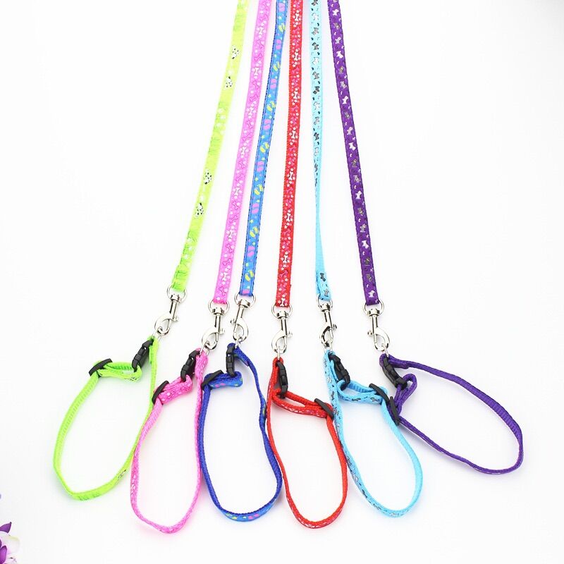 Sét Dây dắt kèm vòng cổ cho chó mèo (Set 1 dây dắt + 1 vòng cổ)