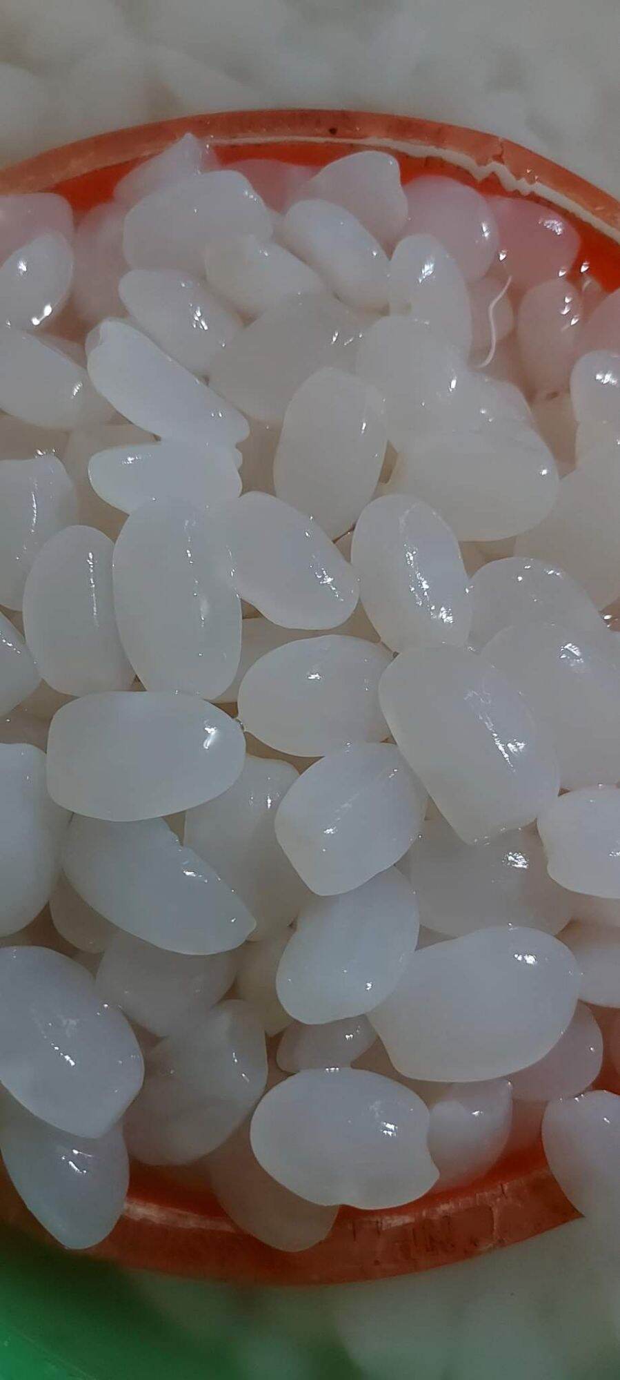 1kg hạt đác tươi Khánh Hòa hạt to