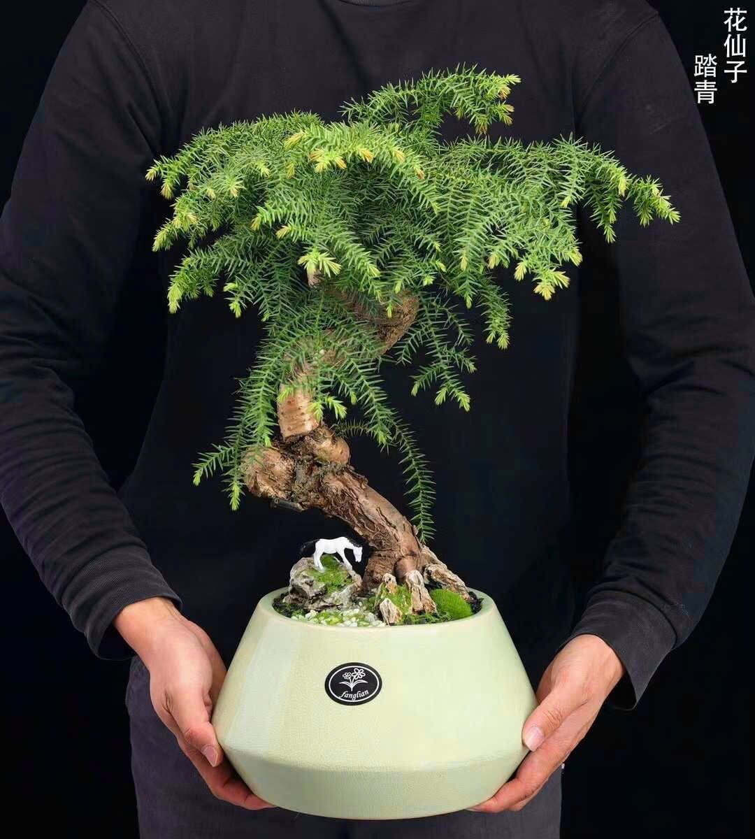 Mô hình con ngựa trang trí tiểu cảnh