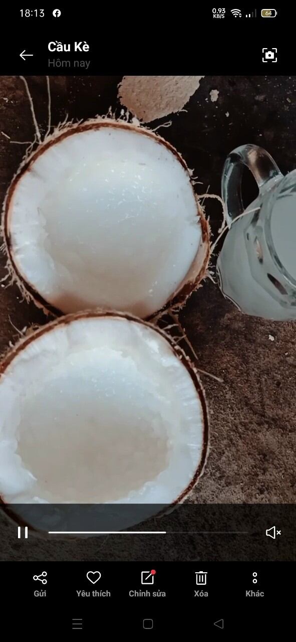 Combo 2 trái dừa sáp dạng lỏng , cơm dẻo đặc sản cầu kè trà vinh