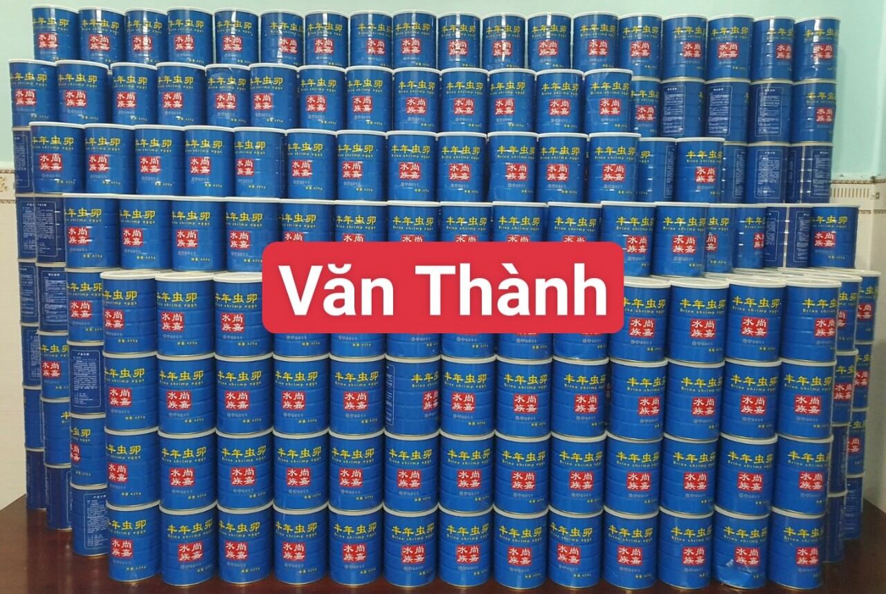 Artemia Lon Xanh , Vàng Ấp Nở ( 50G )