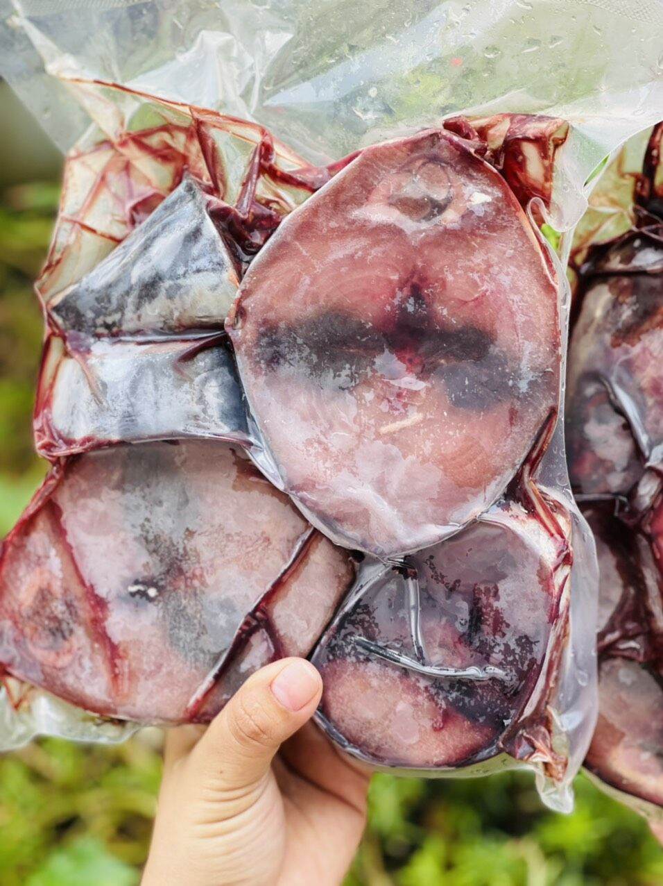 Giá sỉ 1kg cá ngừ cắt lát