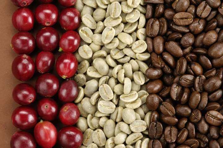 Cafe culi-robusta rang xay 500gr