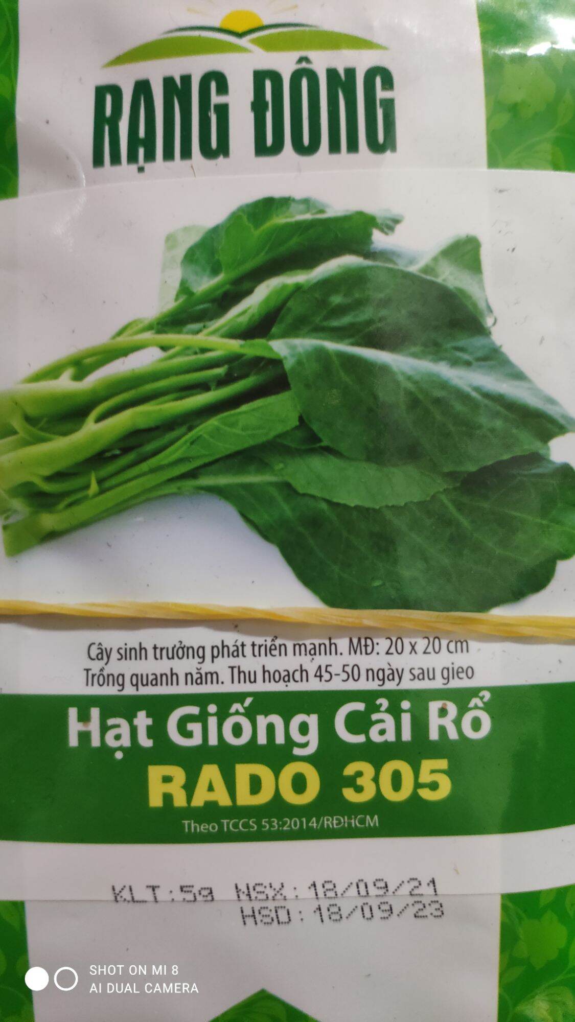 cải rổ