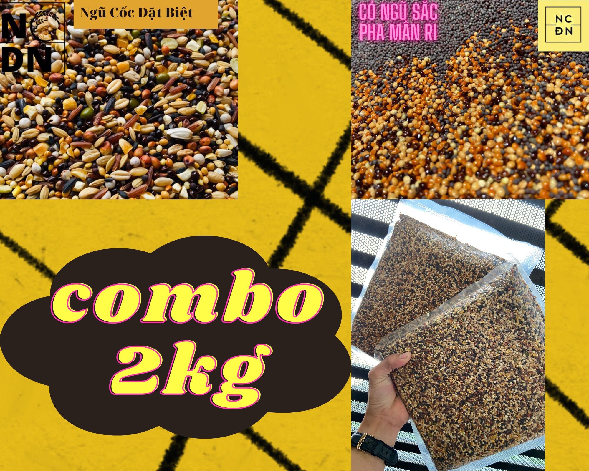 Combo 2kg cho chim cu gáy