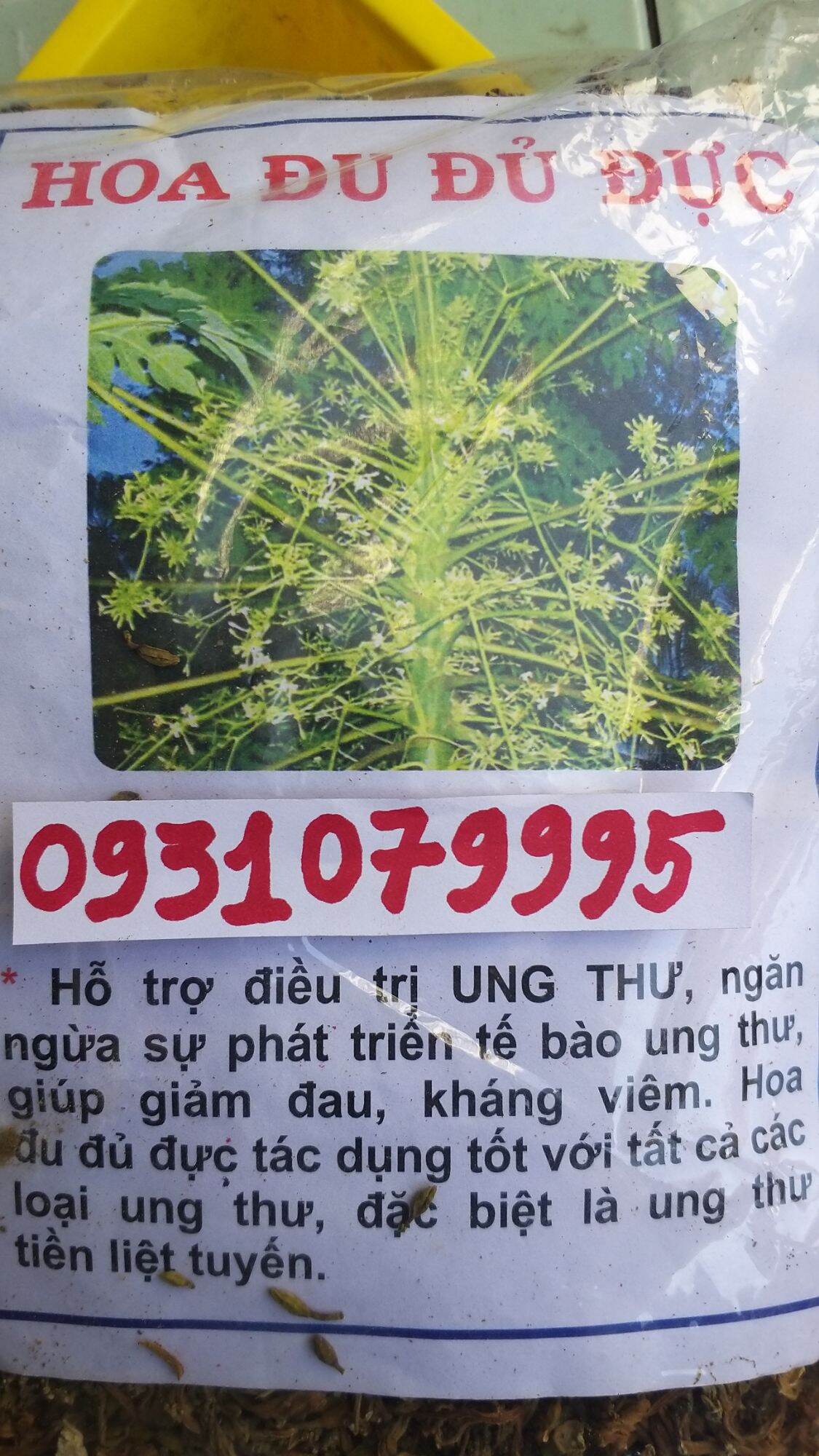 Hoa đu đủ đực - bông đu đủ đực phơi khô 1kg