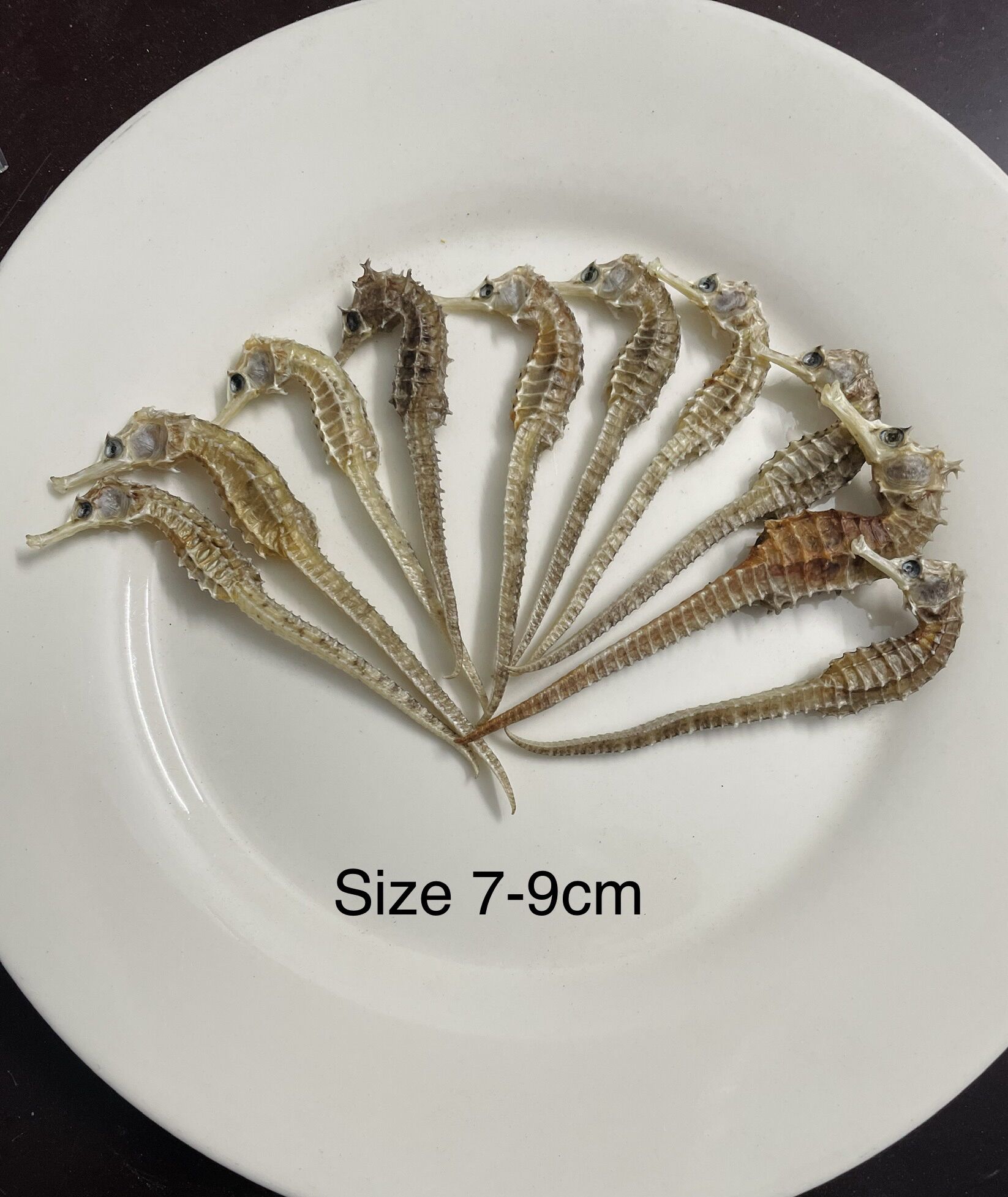5 con Cá Ngựa Khô 7cm -9cm
