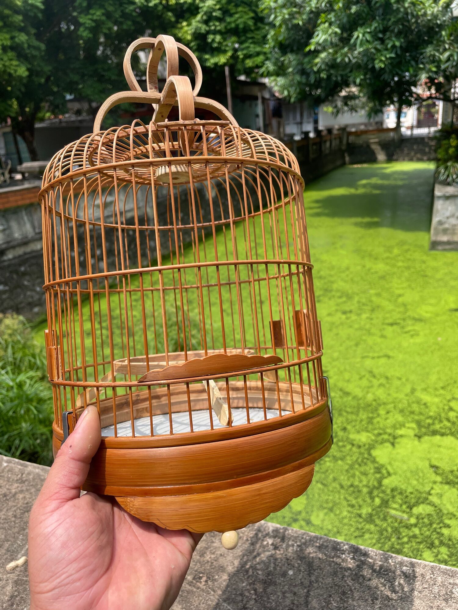Lồng khuyên lùn nan khít size 22