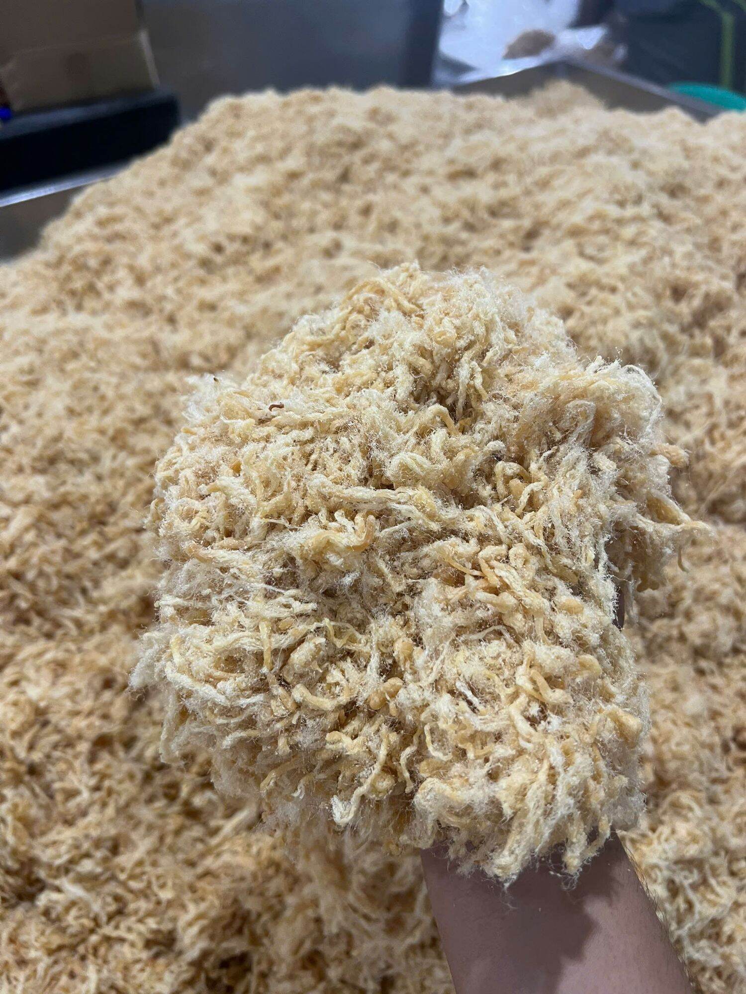Cây 5kg chà bông xù