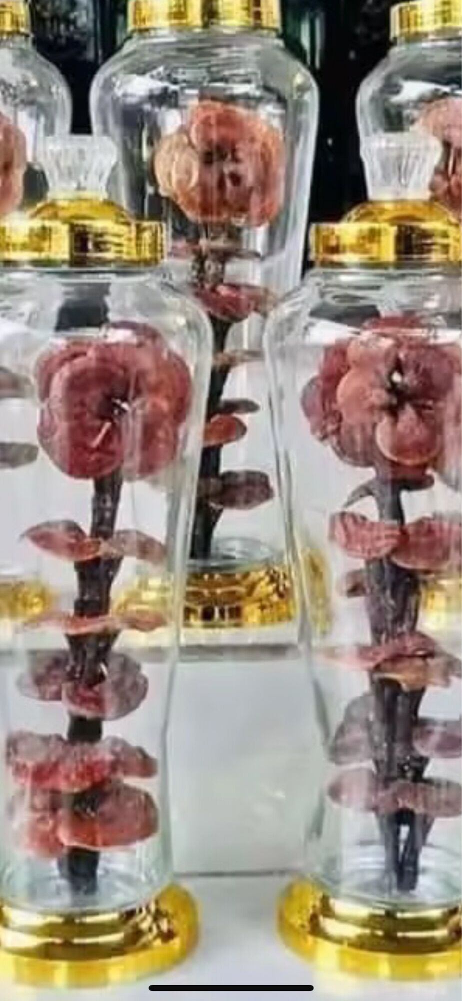 Nấm lim xanh hàng trồng 500k/kg