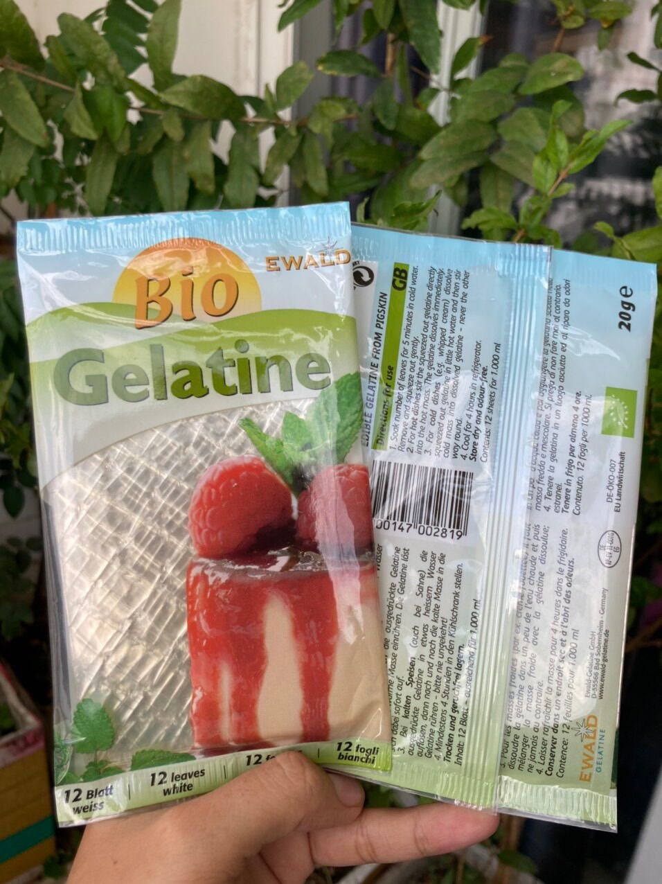 Gelatin (lá) hữu cơ