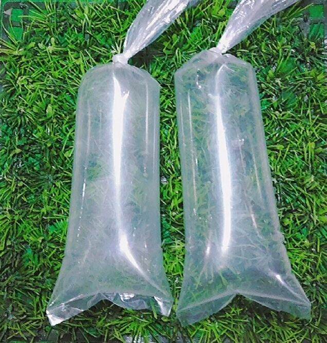 Bịch đóng cá 200g