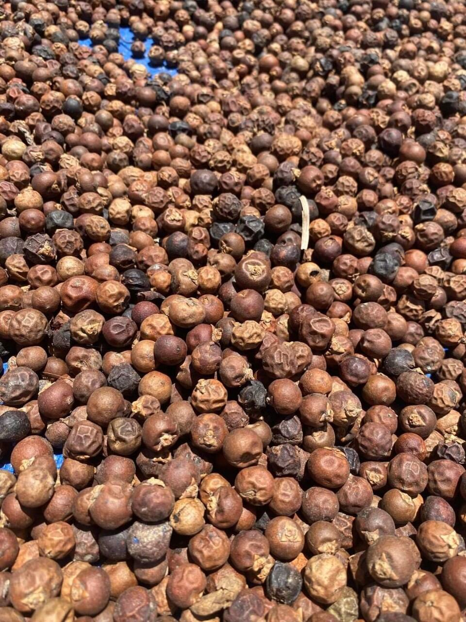 1kg trái đủng đỉnh khô