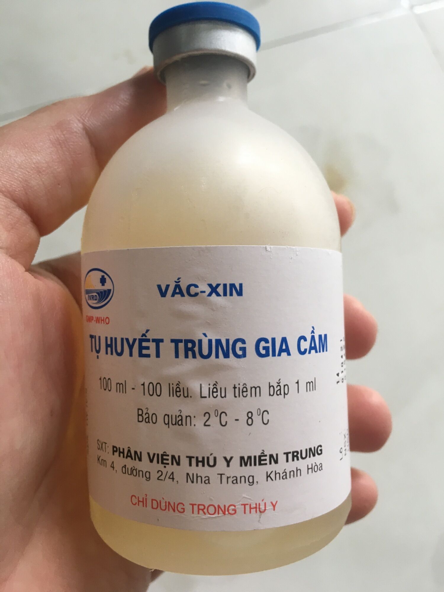 Tụ huyết trùng gia cầm.